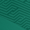 Футболка SELECT Monaco v24 player shirt s/s Green